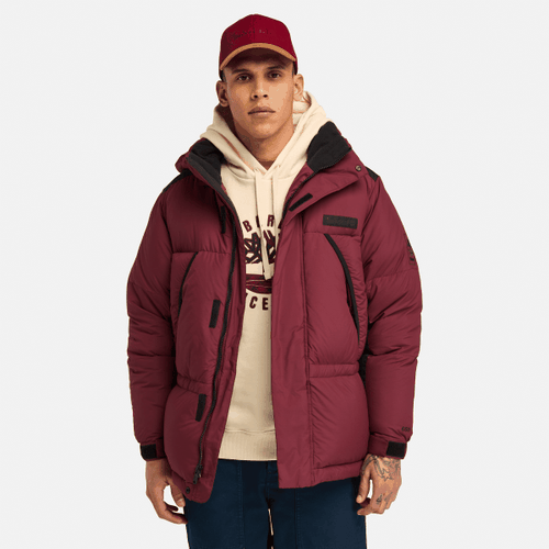 Re:Down Howker Steppjacke für Herren in , Mann, , Größe: 3XL - Timberland - Modalova