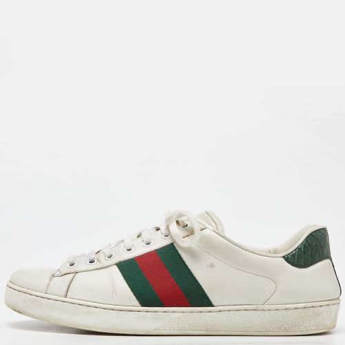 Leather Web Detail Ace Low Top Sneakers Size 43 - Gucci - Modalova