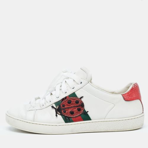 Leather Web Ace Sneakers Size 34.5 - Gucci - Modalova