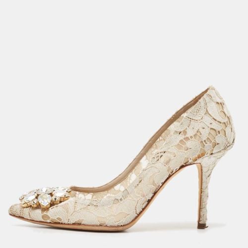 Lace and Mesh Bellucci Pumps Size 36 - Dolce & Gabbana - Modalova