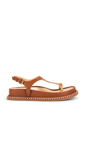 Steffan Sandal in Brown in . Taglia 10. Also in 6, 6.5, 7, 7.5, 8, 8.5, 9, 9.5 - Dolce Vita - Modalova