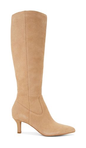 Attie H2O Boot in . Taglia 10. Also in 6, 6.5, 7, 7.5, 8, 8.5, 9, 9.5 - Dolce Vita - Modalova