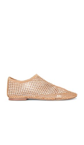 Mino Flat in . Size 6. Also in 5.5, 6.5, 7, 7.5, 8, 8.5, 9, 9.5, 10, 11 - Steve Madden - Modalova