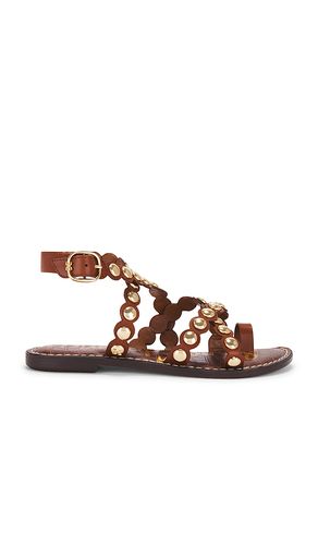 Gloria Sandal in . Size 6.5. Also in 7, 8, 8.5 - Sam Edelman - Modalova