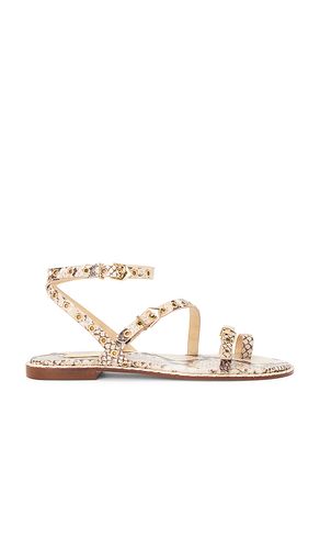 Annete Sandal in . Taglia 5.5. Also in 9.5 - Schutz - Modalova