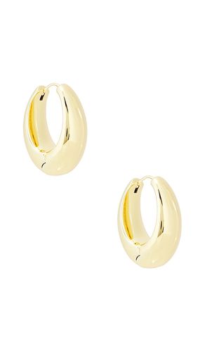 Cameron Hoop Earring in - SHASHI - Modalova