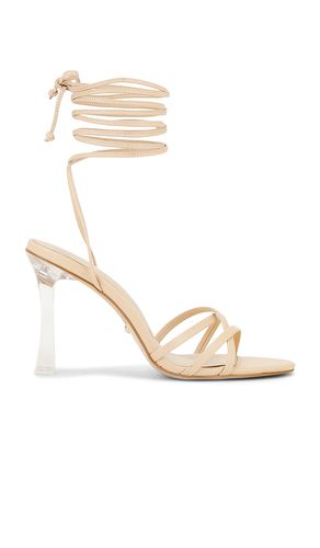 Carmen Sandal in . Size 10. Also in 8.5 - RAYE - Modalova