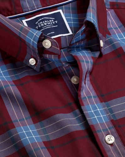 Men's Button-Down Collar Non-Iron Stretch Poplin Large Winter Checkered Cotton Shirt - Single Cuff by - Charles Tyrwhitt - Modalova