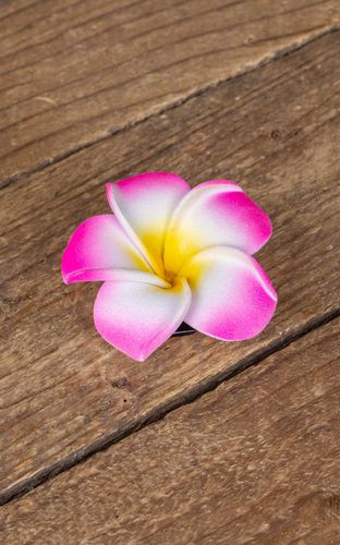 Haarspange Plumeria Hawaii Blüte, pink - Rockabilly Rules (DACH) - Modalova
