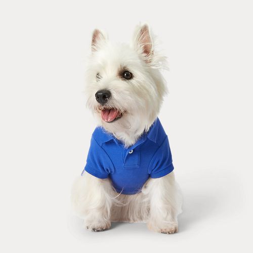 Polo Bear Cotton Mesh Dog Polo Shirt - Polo Ralph Lauren - Modalova