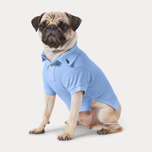 Cotton Mesh Dog Polo Shirt - Polo Ralph Lauren - Modalova