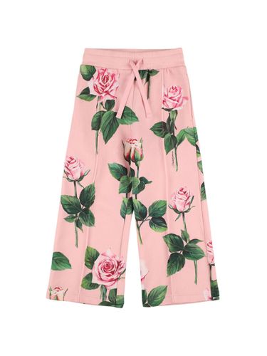 Pantalones Deportivos De Algodón Estampados - DOLCE & GABBANA - Modalova