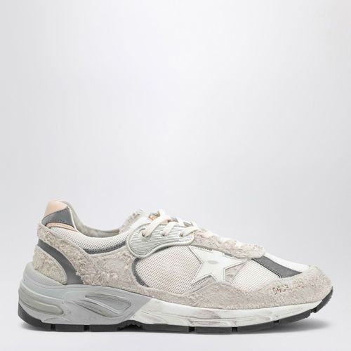 Dad-Star distressed /grey sneakers - Golden Goose - Modalova