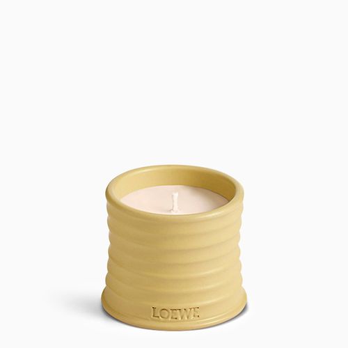 Candela piccola Honeysuckle gialla - Loewe - Modalova