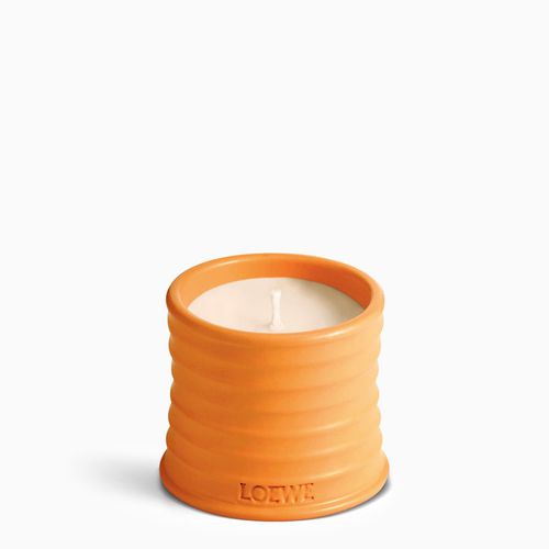 Candela piccola Orange Blossom arancio - Loewe - Modalova