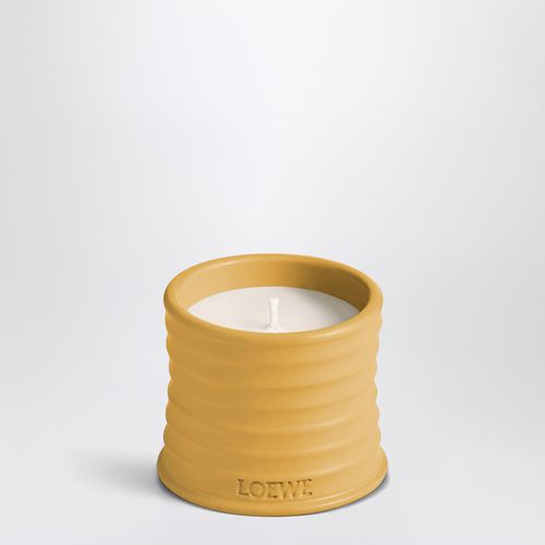 Candela Wasabi piccola gialla - Loewe - Modalova