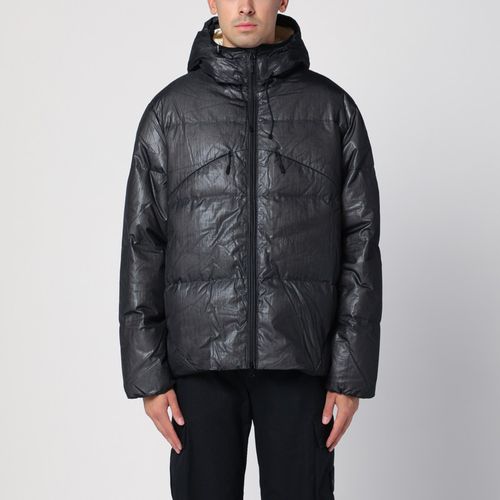 Black padded zipped jacket - Purple Mountain Observatory - Modalova