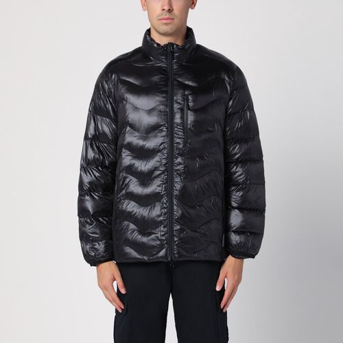 Black padded zipped jacket - Purple Mountain Observatory - Modalova