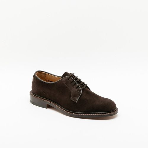 Robert Coffee Castorino Suede Derby Shoe - Tricker's - Modalova