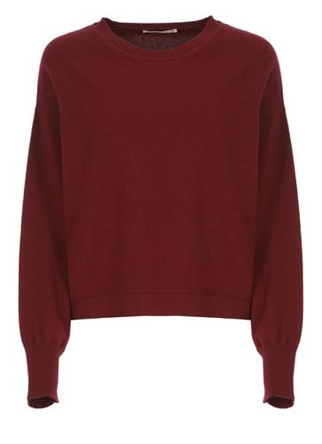 Kangra Cashmere Sweater - Kangra - Modalova