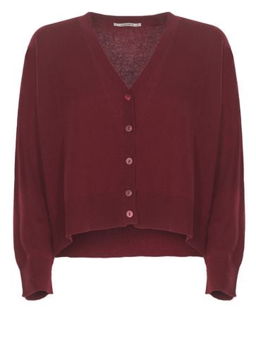 Kangra Cashmere Cardigan - Kangra - Modalova