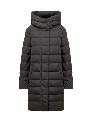 Woolrich Ellis Light Padded Parka - Woolrich - Modalova