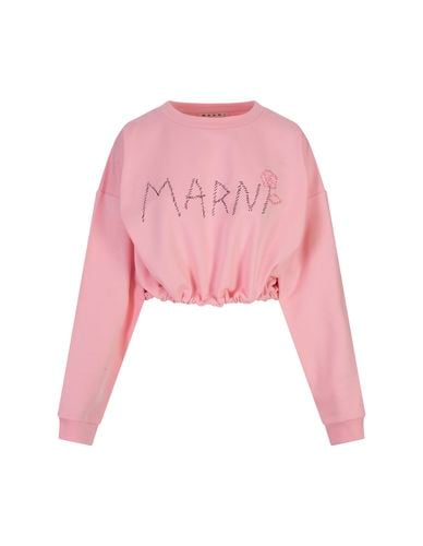 Crop Sweatshirt With Logo - Marni - Modalova