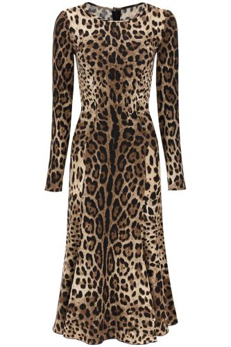 Leopard Print Viscose Midi Dress - Dolce & Gabbana - Modalova