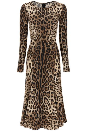 Midi Dress In Leopard Cady - Dolce & Gabbana - Modalova