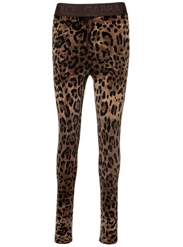 Animalier Velour Leggings - Dolce & Gabbana - Modalova