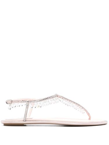 Diana Sandals With Crystals - René Caovilla - Modalova