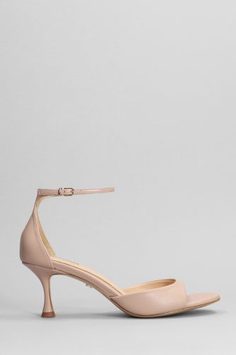 Petrina Sandals In Leather - Lola Cruz - Modalova