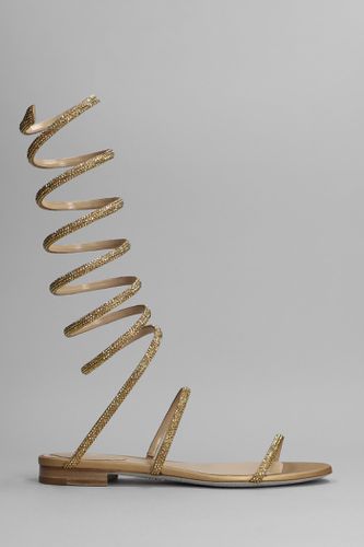 Gold Supercleo Low Sandal With Crystals - René Caovilla - Modalova