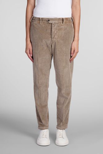 PT Torino Pants In Camel Cotton - PT Torino - Modalova