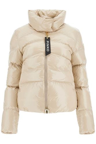 Pinko crystal Nylon Down Jacket - Pinko - Modalova