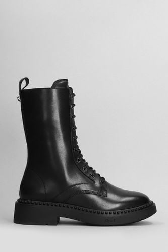 Marlin Combat Boots In Leather - Ash - Modalova