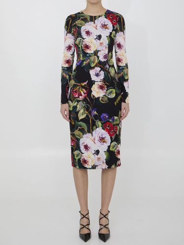 Dolce & Gabbana Roseto Print Dress - Dolce & Gabbana - Modalova