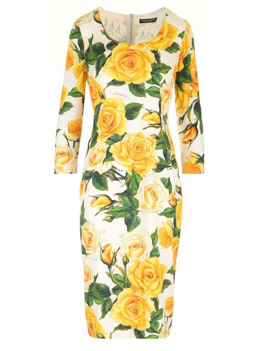 Yellow Roses Printed Midi Dress - Dolce & Gabbana - Modalova