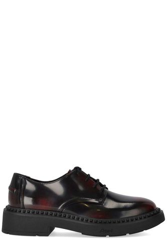 Ash Mercury Lace-up Shoe - Ash - Modalova