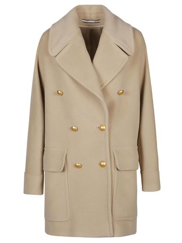 Tagliatore Coat - Tagliatore - Modalova