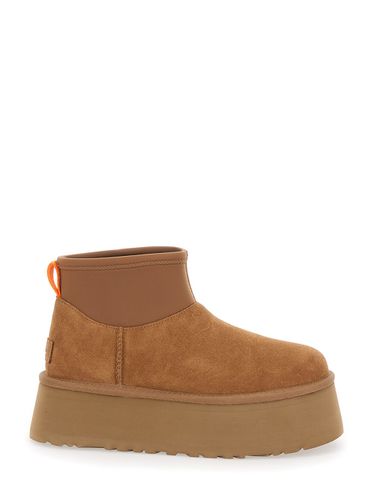 Brown Classic Mini Dipper Ankle Boots With Fabric Insert In Suede Woman - UGG - Modalova