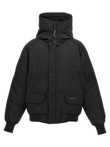 Chilliwack Bomber Jacket - Canada Goose - Modalova