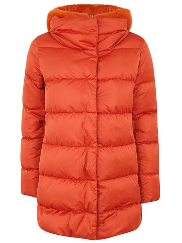 High Neck Long Sleeved Padded Coat - Herno - Modalova