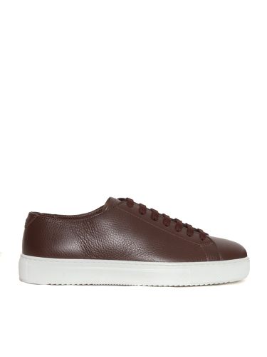 Doucal's Brown Leather Sneakers - Doucal's - Modalova