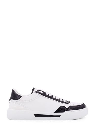 Dolce & Gabbana New Roma Sneakers - Dolce & Gabbana - Modalova