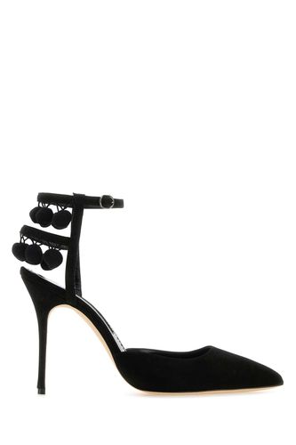 Black Suede Tumusami Pumps - Manolo Blahnik - Modalova