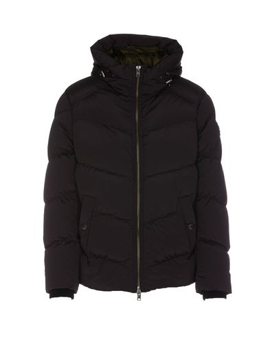 Woolrich Premium Down Jacket - Woolrich - Modalova