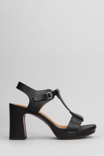 Kimor-l Sandals In Leather - Chie Mihara - Modalova