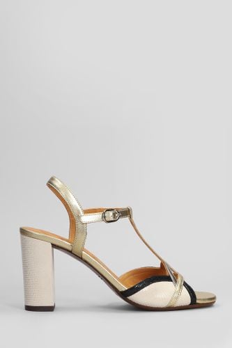 Bejo Sandals In Leather - Chie Mihara - Modalova