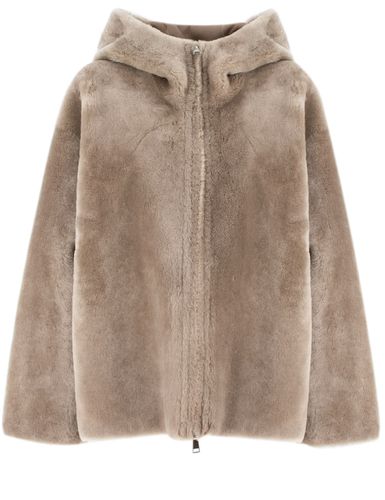 Antonelli Coat - Antonelli - Modalova